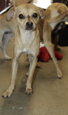 Bizzy - Photo 1