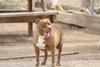 Tasha - Photo 2