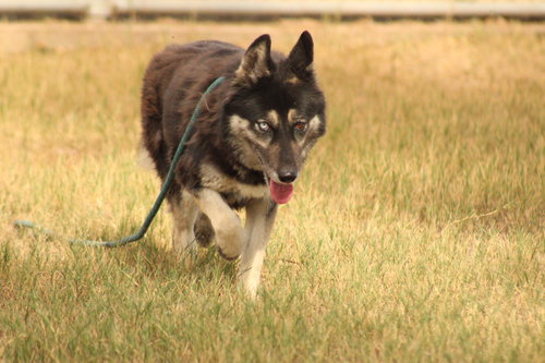 Photo 2 of Alice