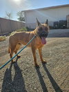 Bubba - Photo 1