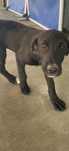 Ruby Lee - Photo 1