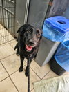 Ruthie - Photo 4