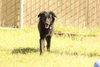 Ruthie - Photo 3