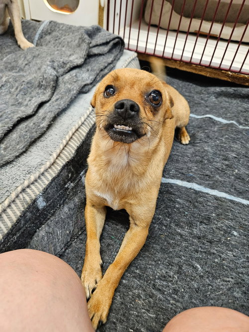 Mouth