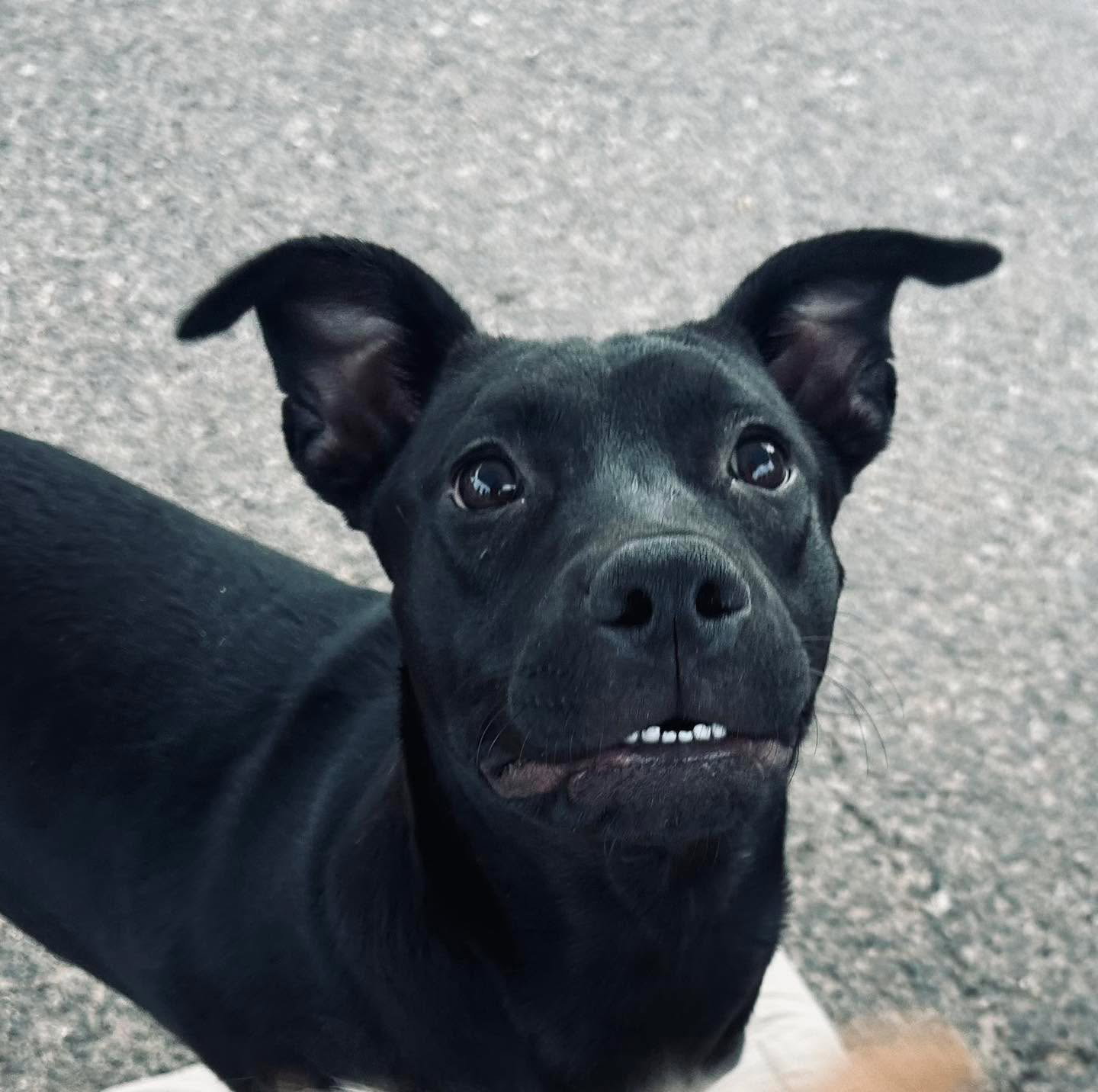 Meg