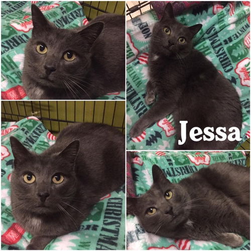 Jessa