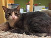 Chester (bonded with Chico)