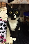 Tux