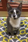 Angel Joy (Bonded with Precious Joy)