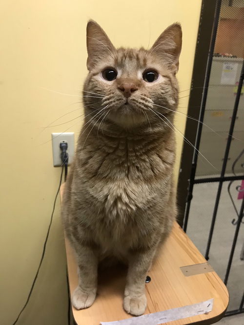 Diego