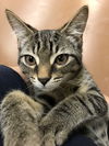 Marvin (Bonded with Sterling)