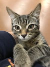 Marvin (Bonded with Sterling)