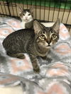 Jane (Bonded with Darwin)