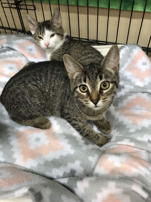 Jane (Bonded with Darwin)