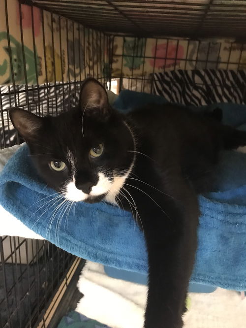 Tux