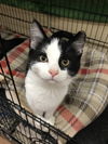 Max (Bonded with Toby)