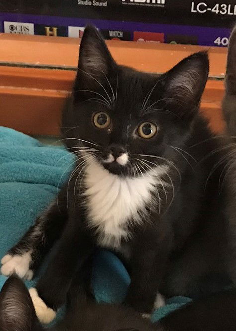 Laverne
