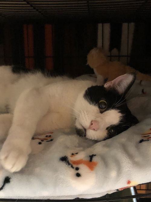 Tux