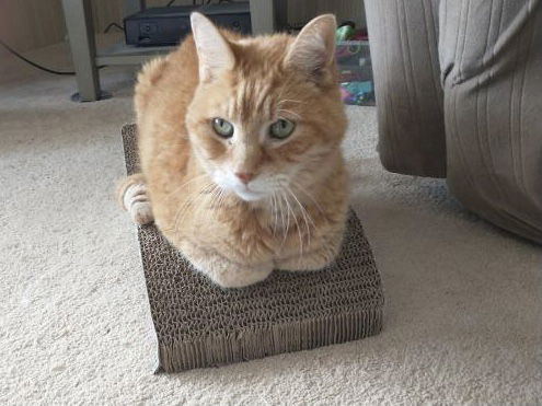 Rusty