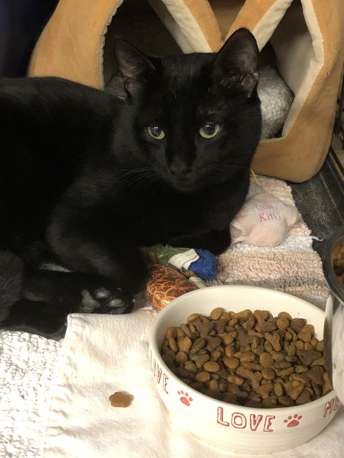 Binx