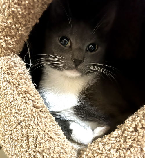 Gracie Mae