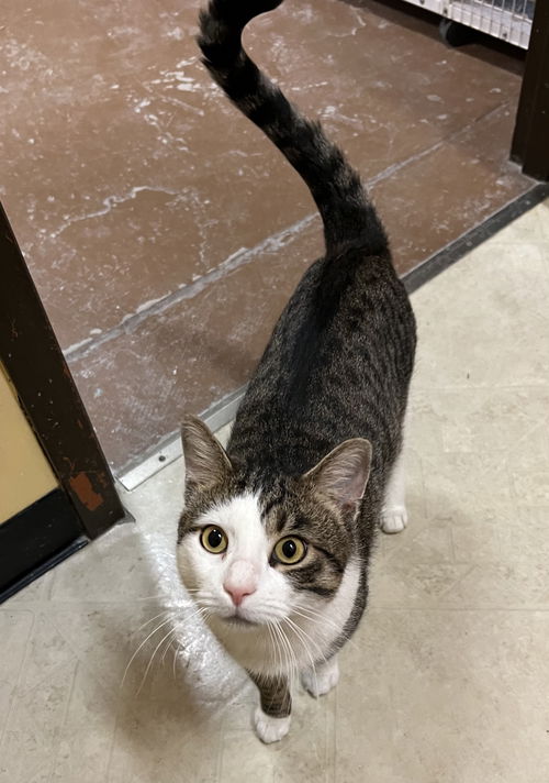 Sebastian