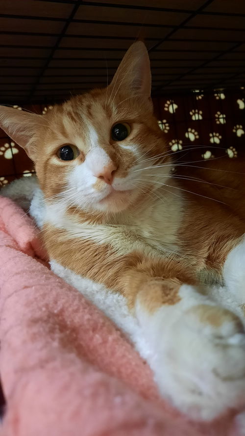 Peter