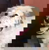 Axel