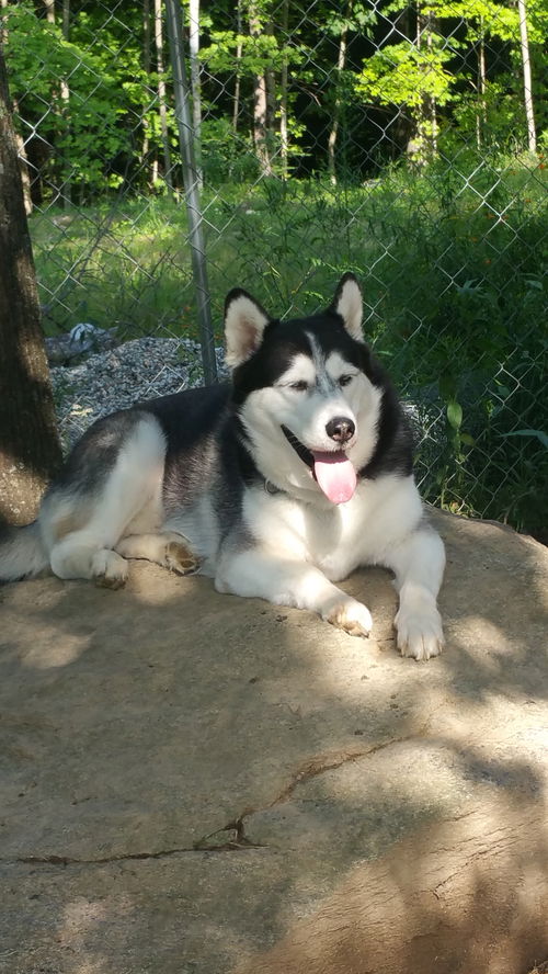 Axel (2)