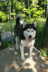 Axel (2)