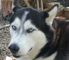 Axel (2)