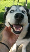 Axel (2)