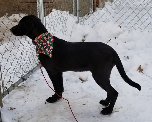 Susie in NH