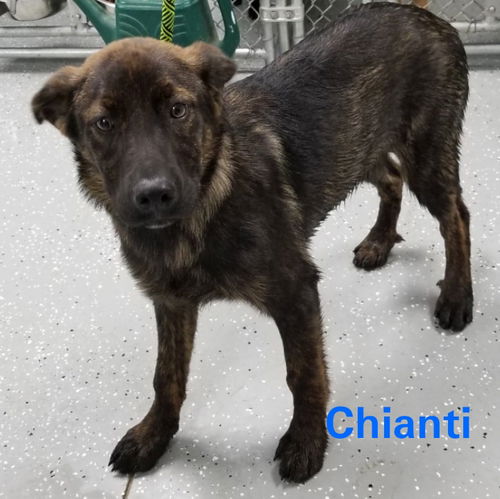 Chianti