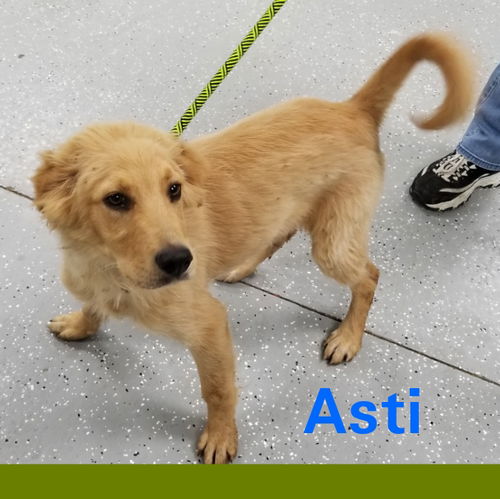 Asti