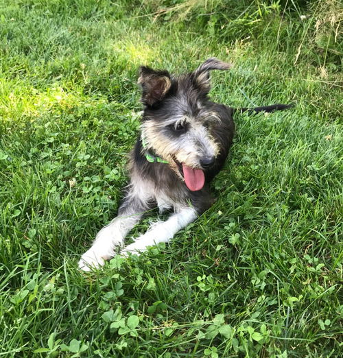 Sophie