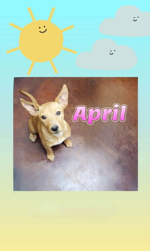 April