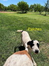 Patches