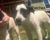 Patches