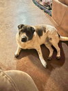 General - Photo 7