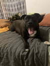 Peewee - Photo 6