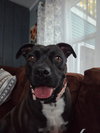 Peewee - Photo 5