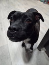 Peewee - Photo 2