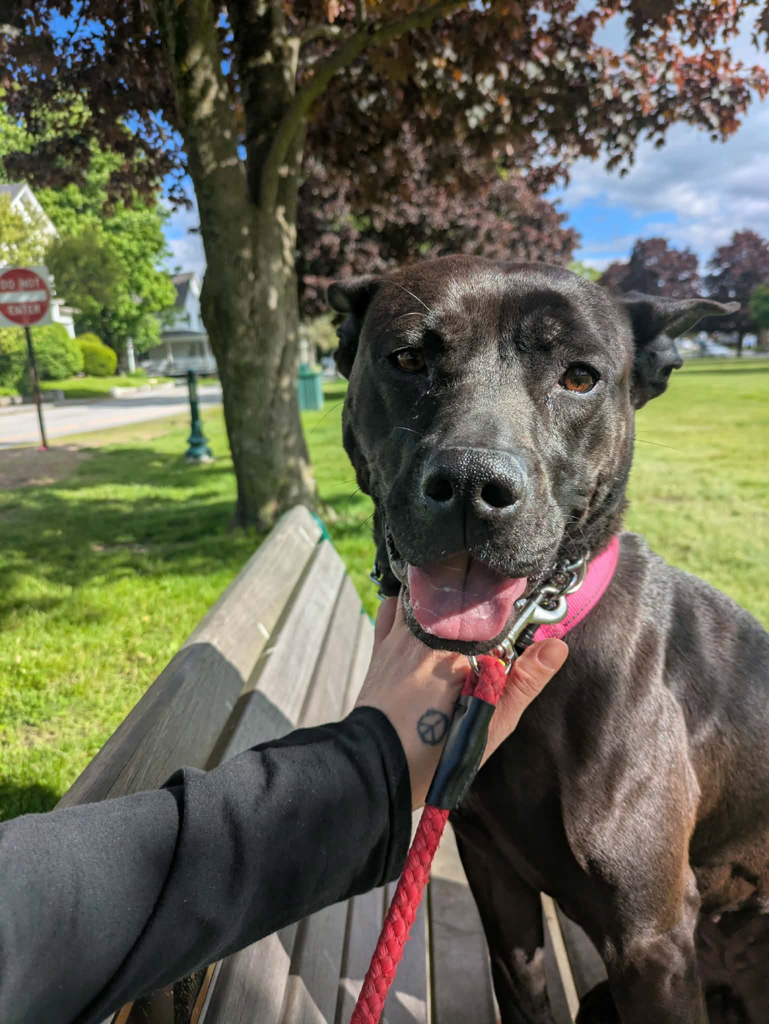 Chula