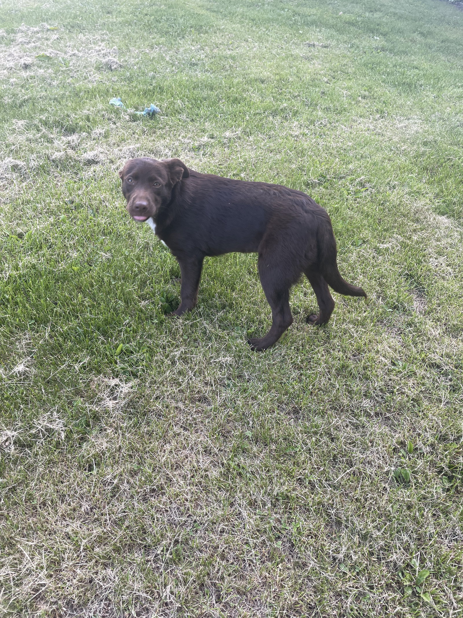 Remy