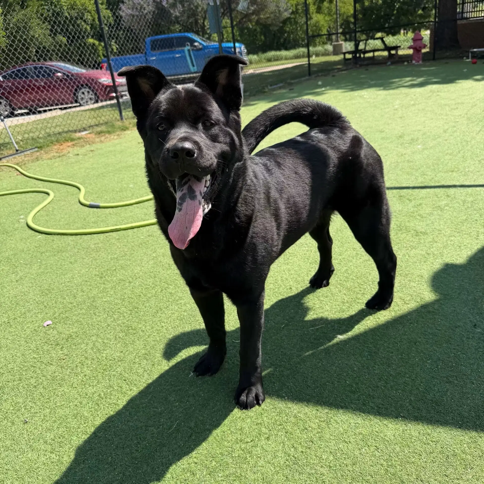 Osita image 2