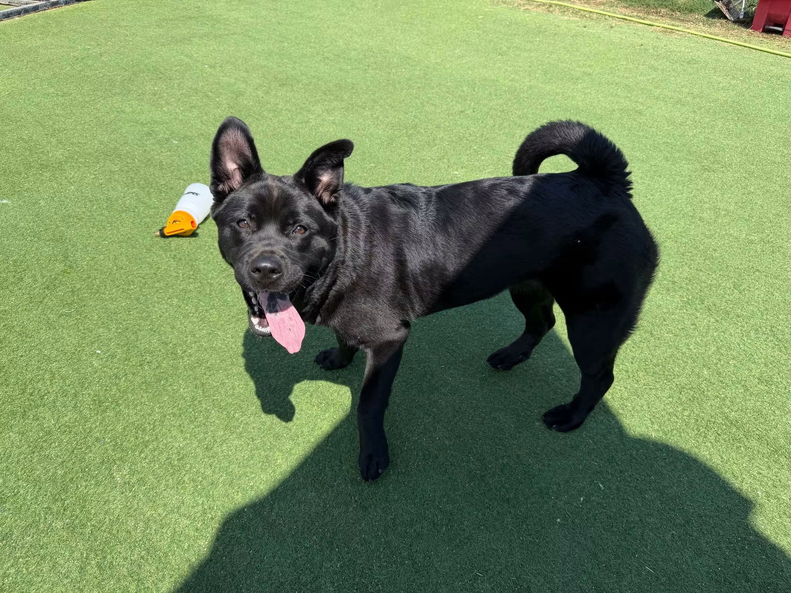 Osita