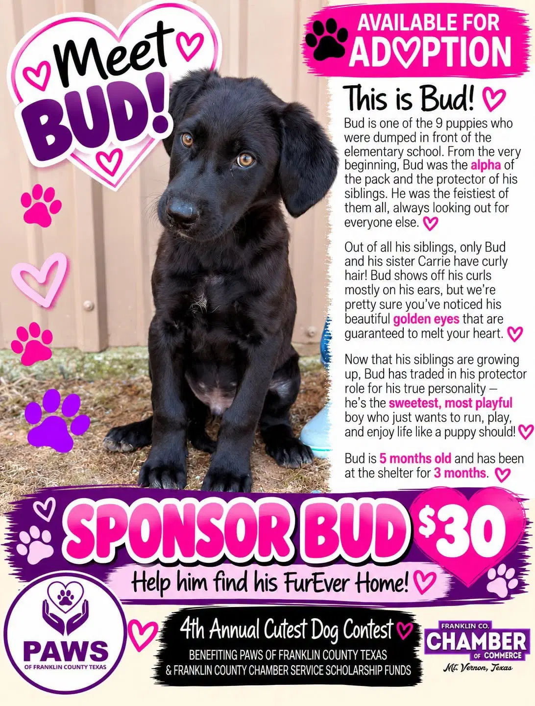 Bud image 3