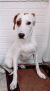 Millie (Kiara)