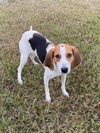 Lucy Lou